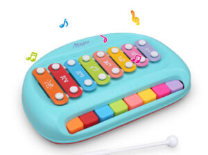 Xylophone with piano keys
